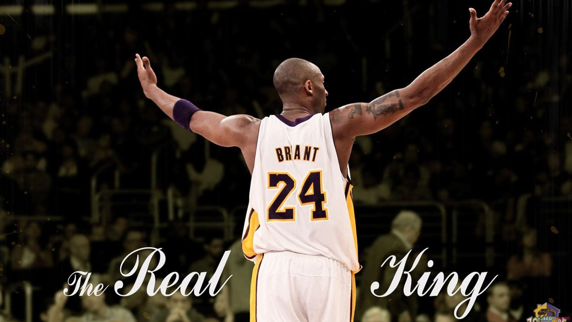 NBA裁判争议再现球迷讨论不断,nba裁判决定比赛